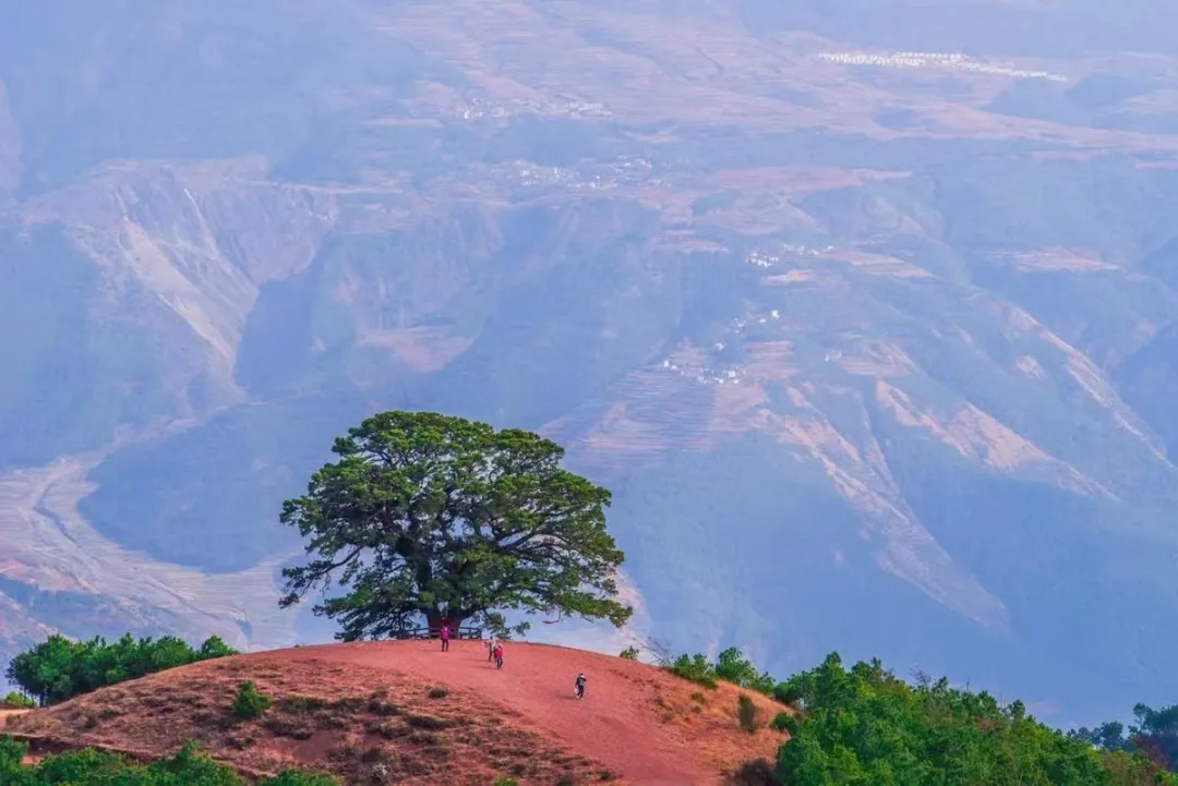 2a14e897184ab3dd5504903f62811778-sz_1307566