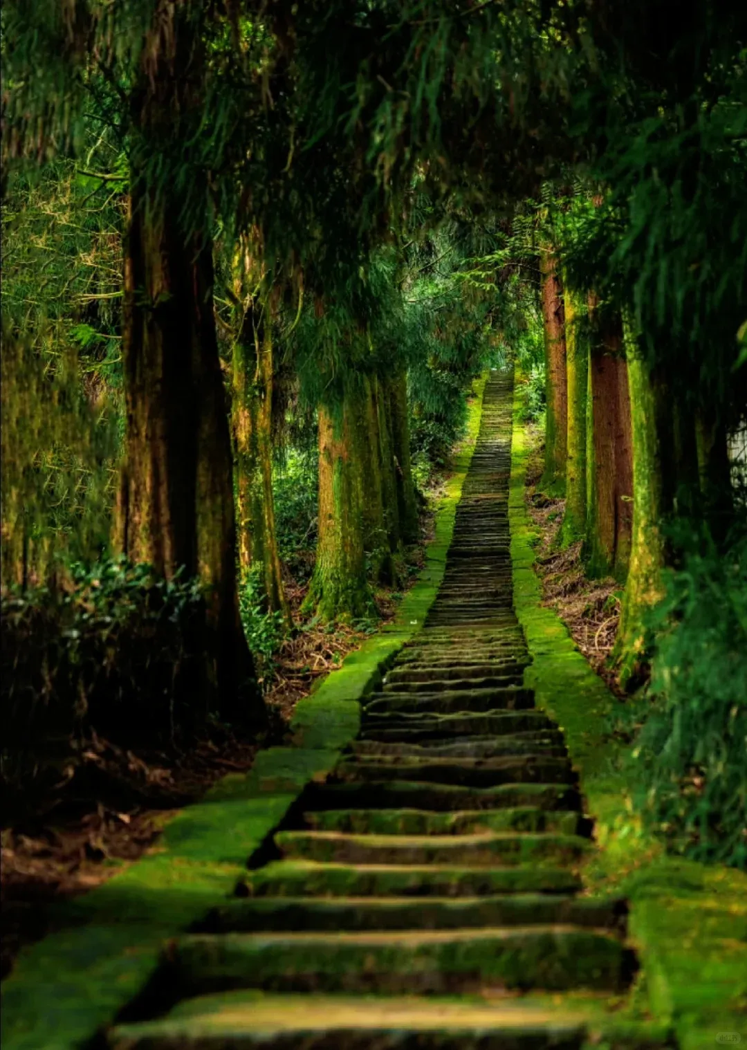 2b1935bbfe029e335e09e28809bb3662-sz_2432324 2b1935bbfe029e335e09e28809bb3662-sz_2432324