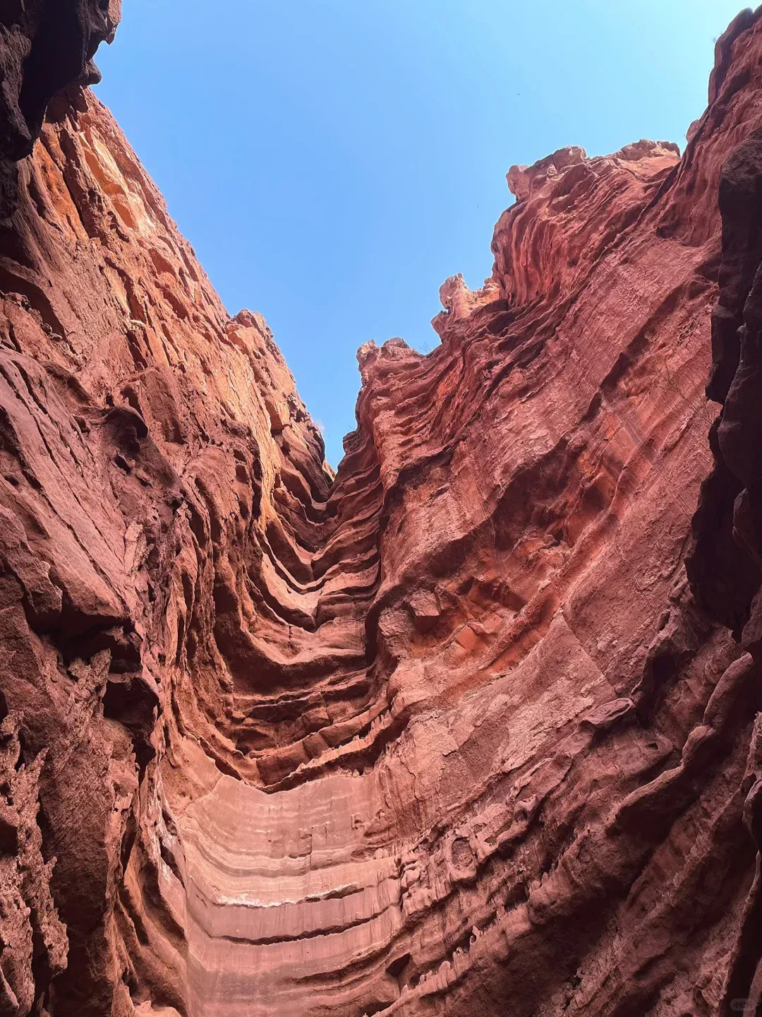 2b9dda288d4dd8d3a4b9bce806e8a265-sz_2720838