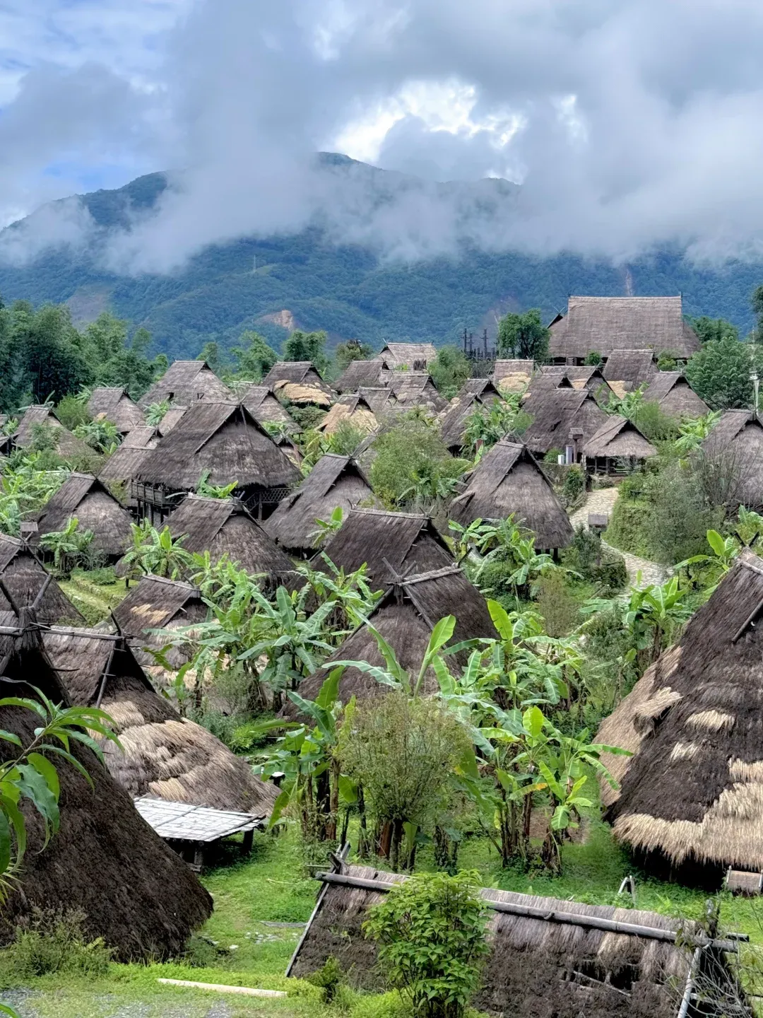 2d98a02aacc2fc299e3d1ae57e6ce558-sz_3489269-1