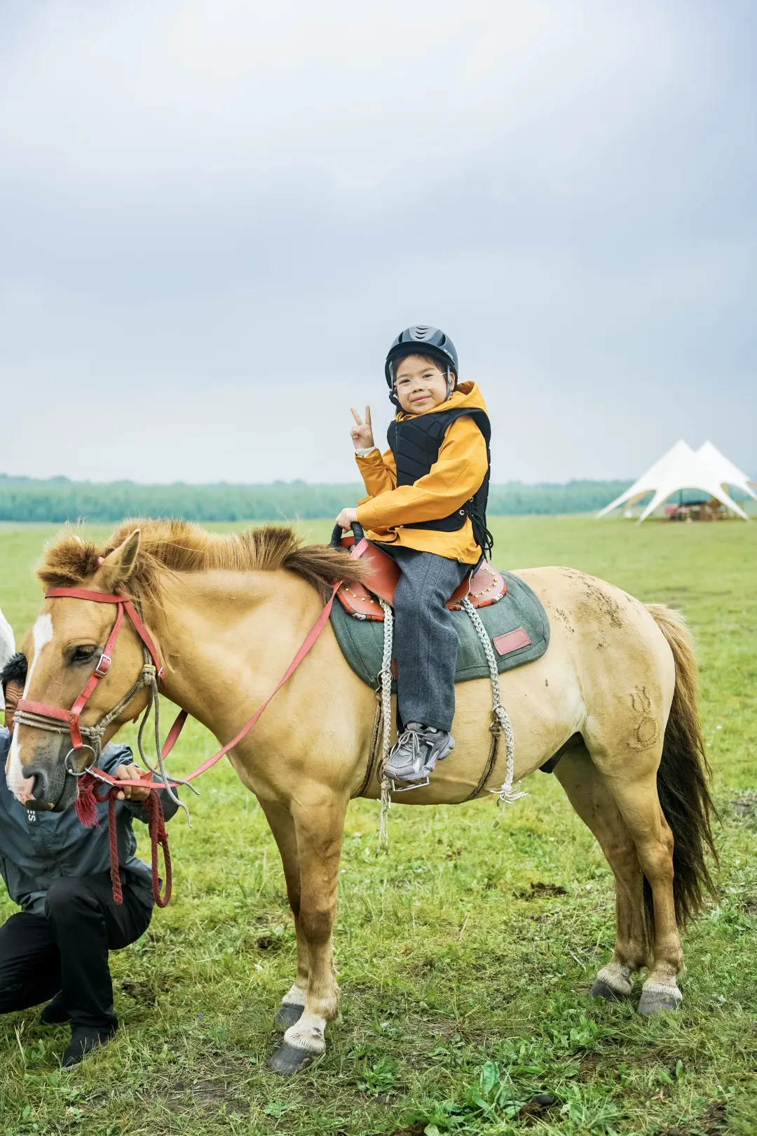 2dd784742cd7c01960e477e474ef213f-sz_5458839