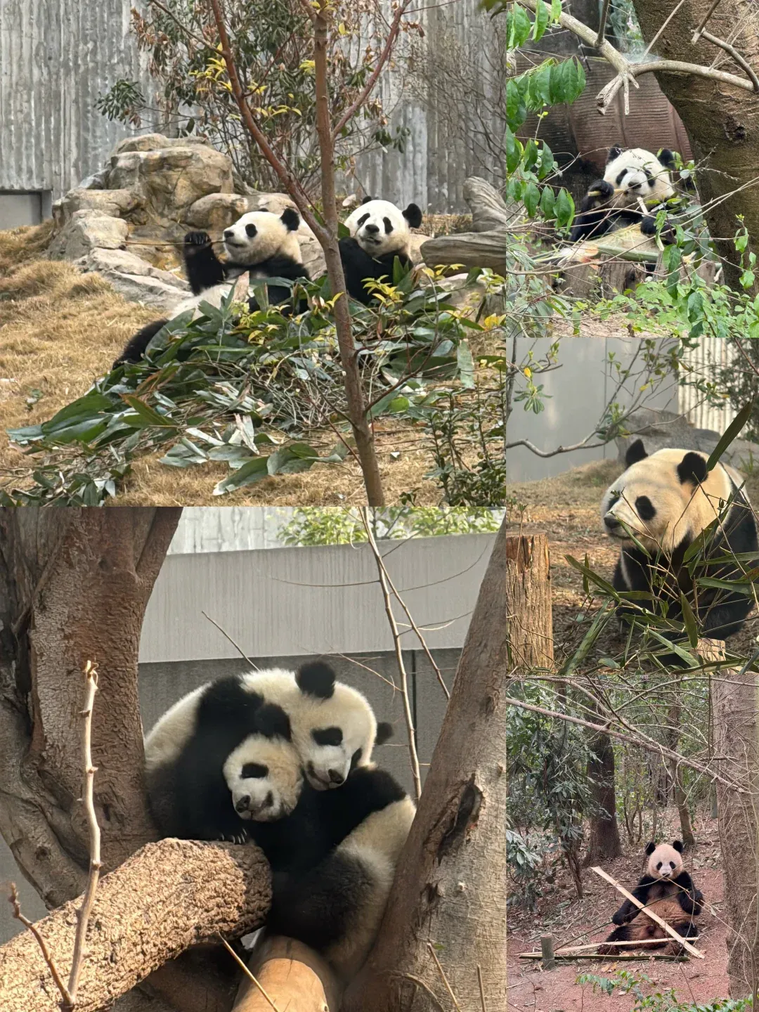 2e494fd894d20c808d22a5d218e675dc-sz_3149804