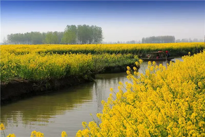 2e67138c2e63ae3207c41be858a12783-sz_95753-2