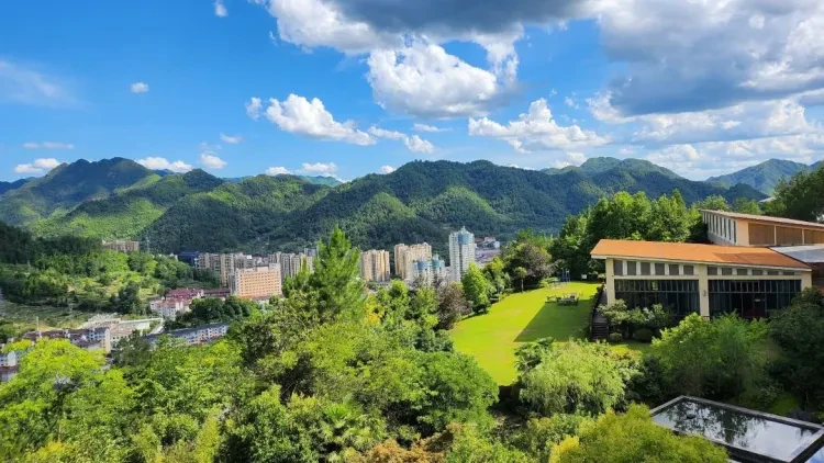 2e921ce7b33379c9e99ba886b4f64472-sz_176657