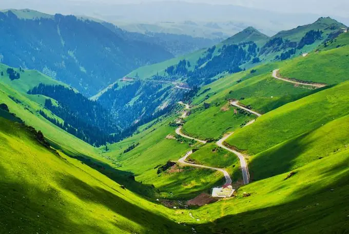 2f10040bc1134471ccfbd45793833386-sz_56579