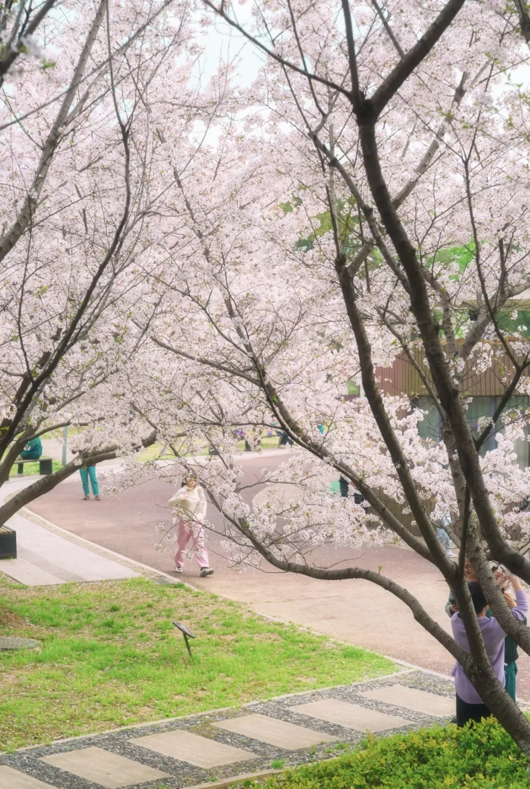 2f65a1234cfd19d945ef0d51480803c7-sz_1047687