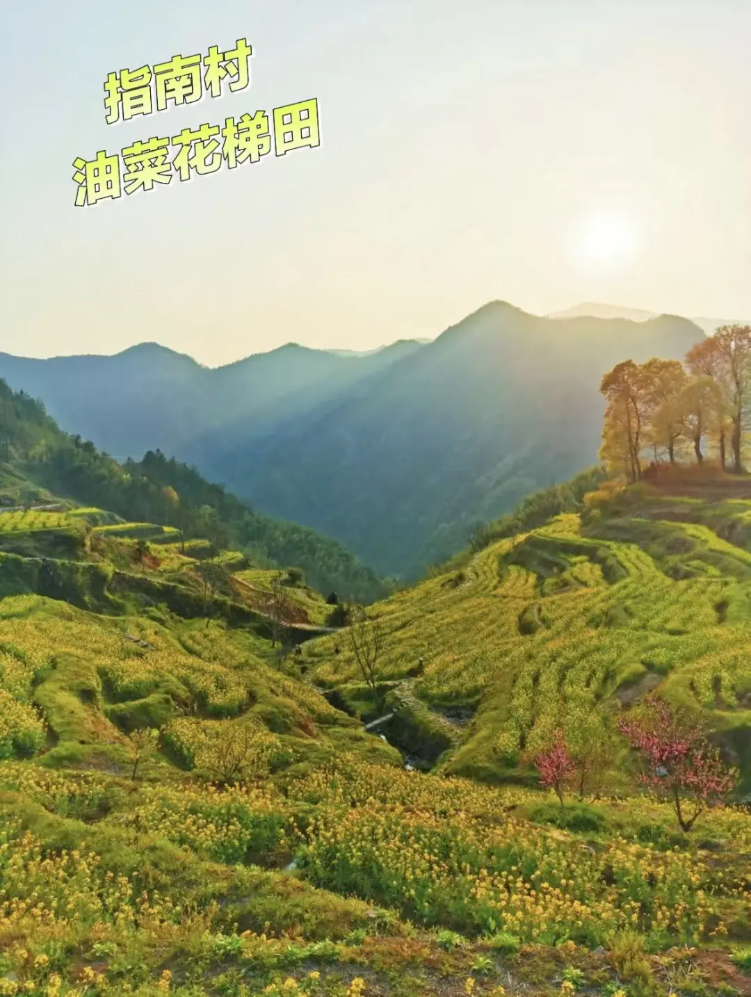 2ff13f845a2671ff8b79cb18e4246367-sz_251360-2