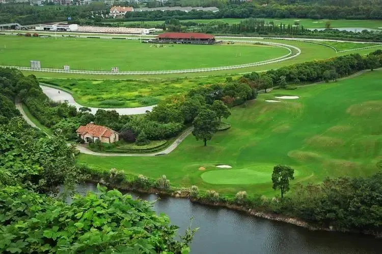 2ff544c621d355d884ed27dd5b662713-sz_87933