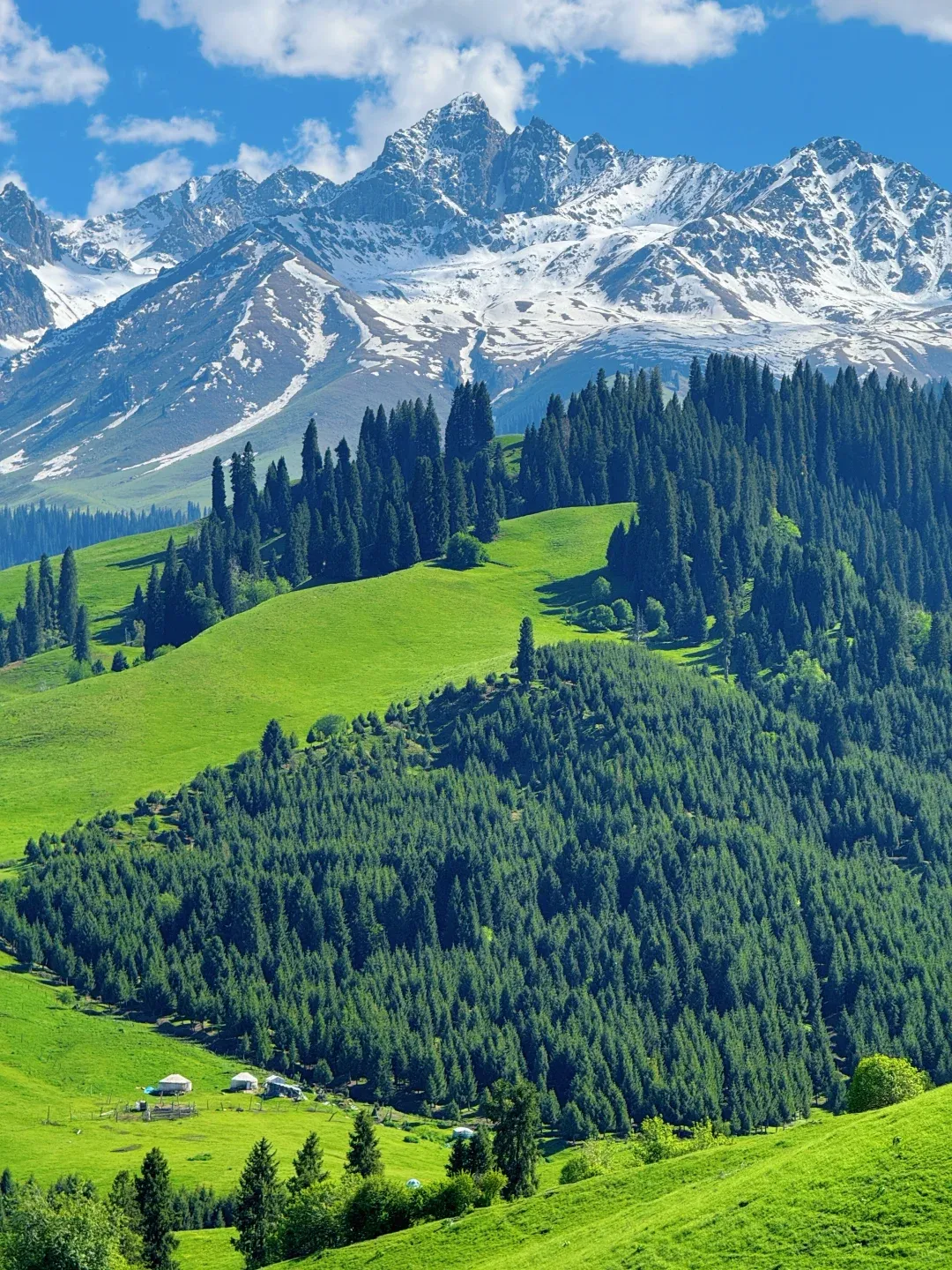 3037d2e9a9fa0314b0c82ebadb0f2cf2-sz_3844332