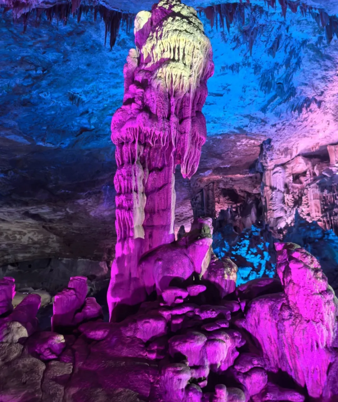 308e753ab2e9936fcc6f0ef3799d1763-sz_1200306