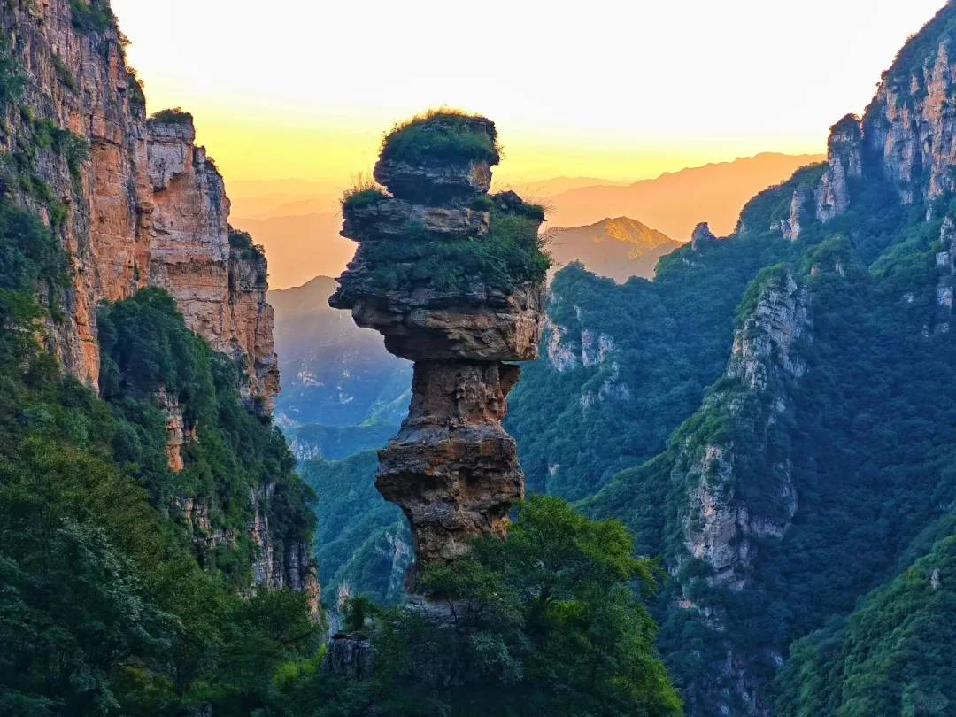 309f41a78e32ce53ea199d563b5fbbbf-sz_549792