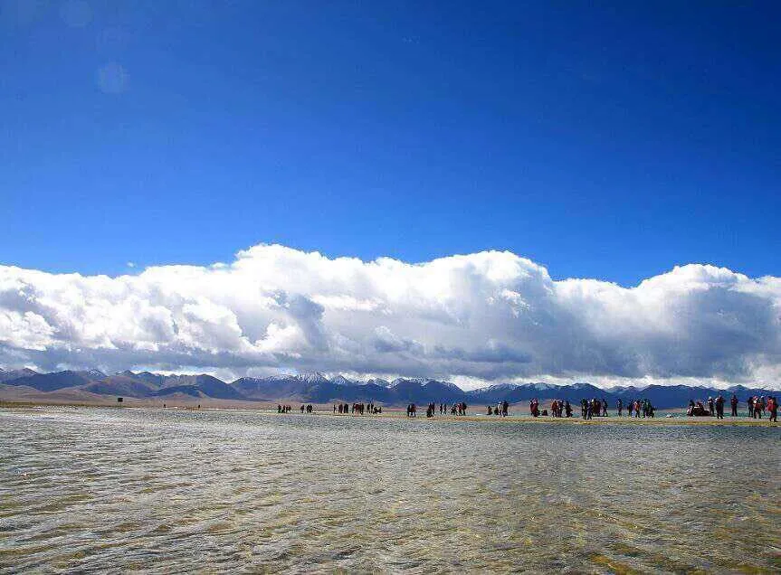 3189745727f38498c44baa6e81408d3c-sz_88006