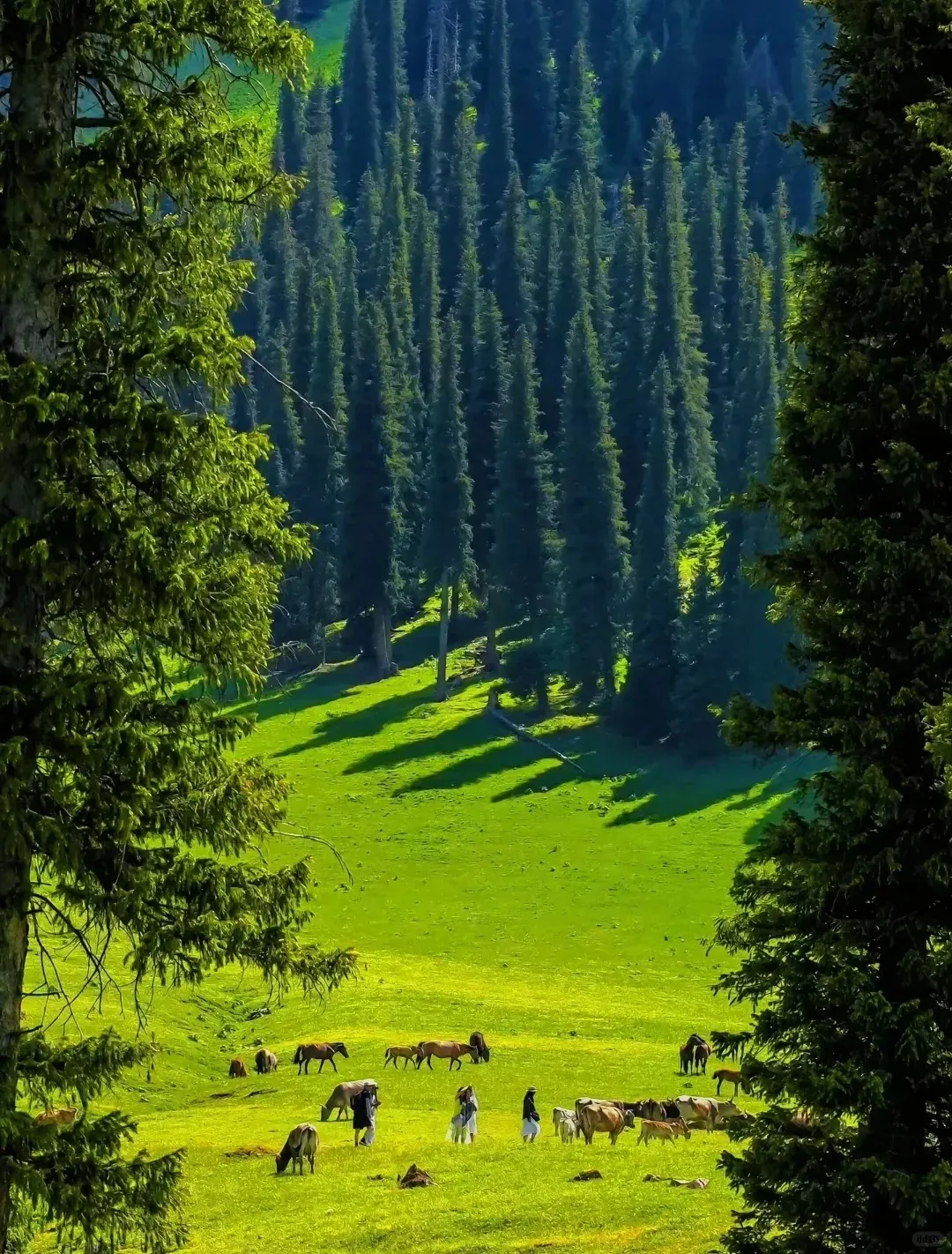 31901aff24cedcca03e1a39141c25f10-sz_3455763-1