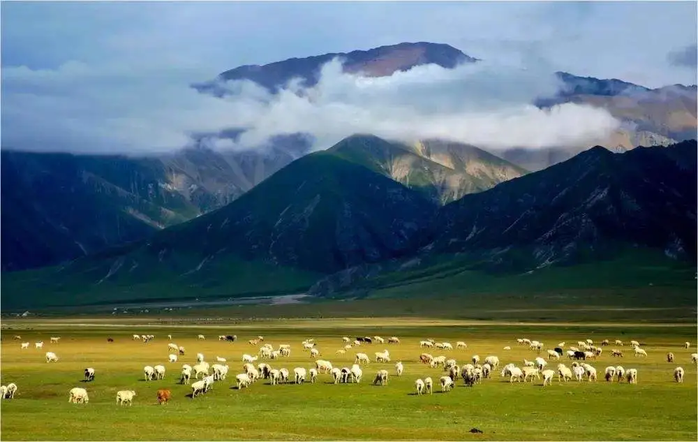 31ab8ee1a9ec3b7f937dc1631bbc2458-sz_62223 31ab8ee1a9ec3b7f937dc1631bbc2458-sz_62223