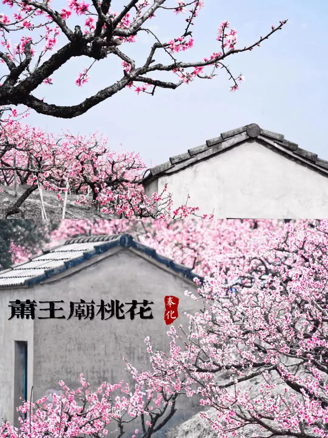 321db3bfdc85859ba2f5dd7f4f2e4d2b-sz_298830