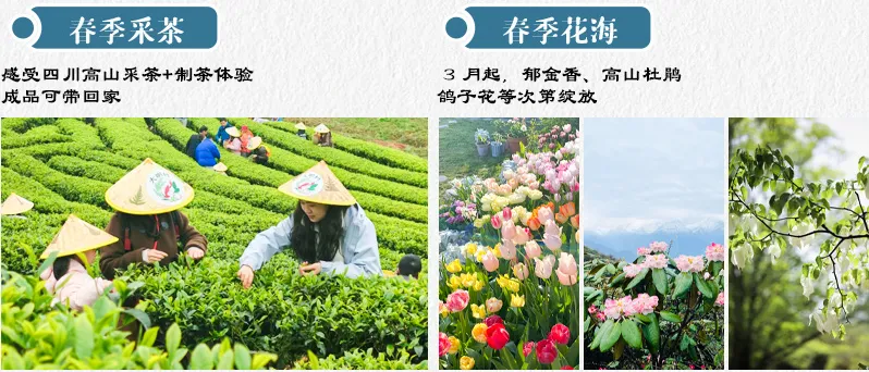 323acdf3089f216095b4071e2933f318-sz_1636738 323acdf3089f216095b4071e2933f318-sz_1636738