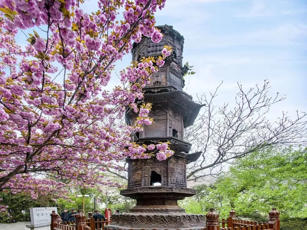 32bc93aefe49c73ce7acbe3f1bb6e4b4-sz_298627