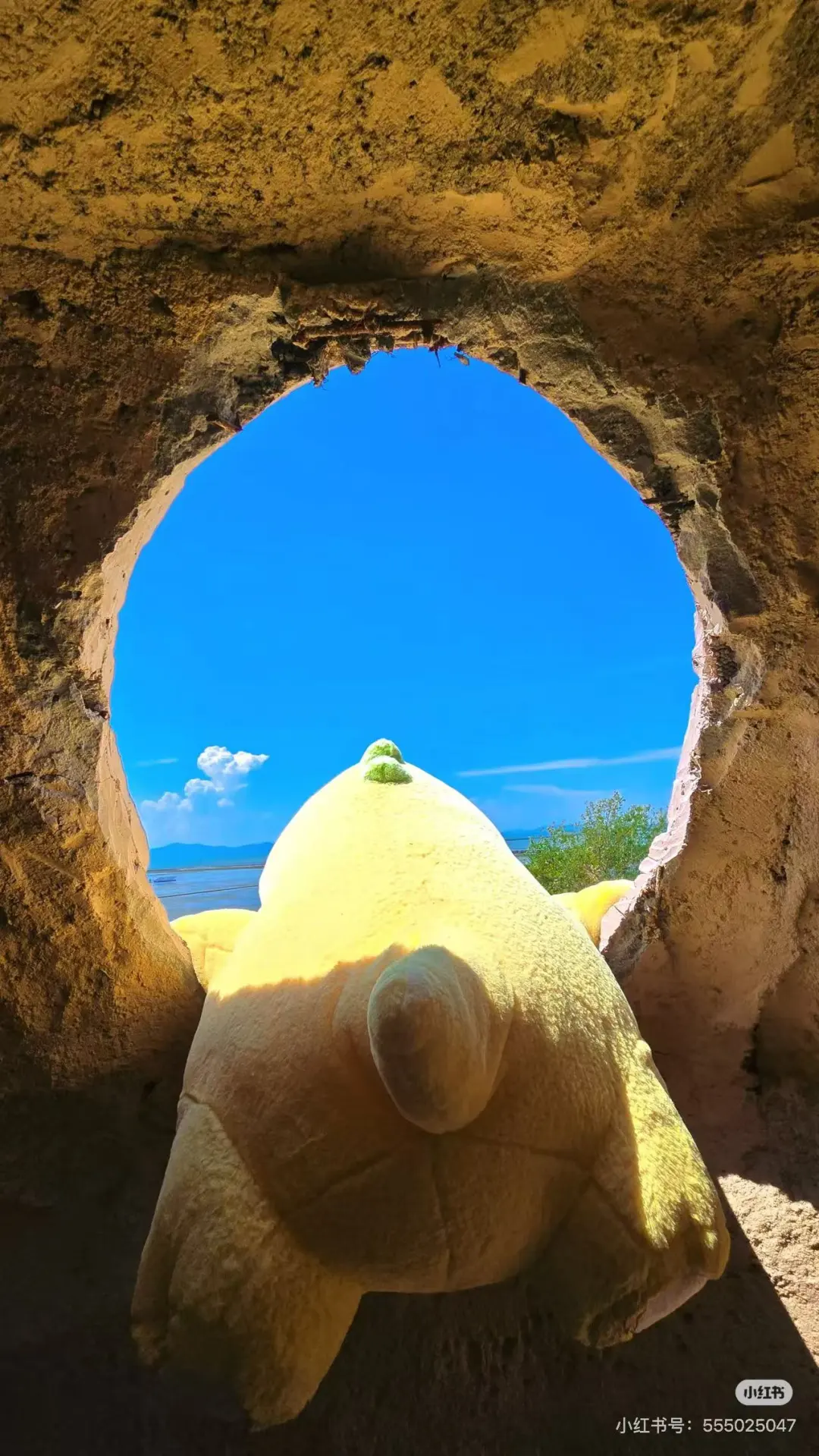 3302a74310b04220603d46cccf339320-sz_397095