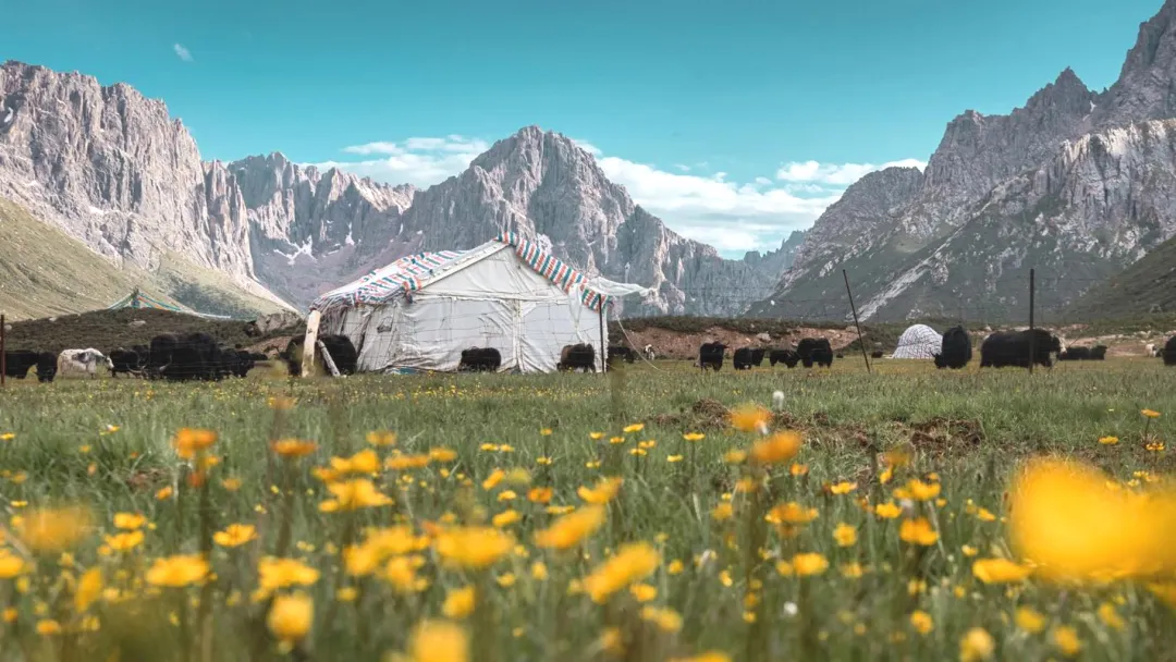 33440dafff7bae413eaa6cf2d0ceea44-sz_1711871