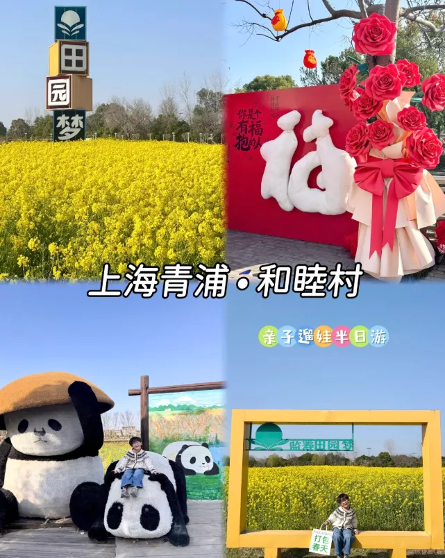 337ac73cf67a2b77eef9ce928ff963f3-sz_1116201