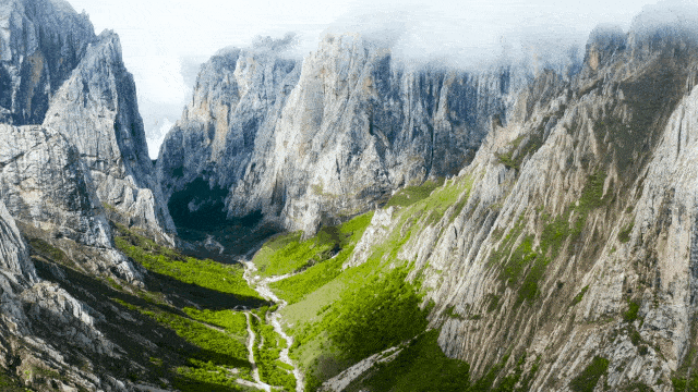 3466779c6ecd159c98510d66a41264e8-sz_2442895