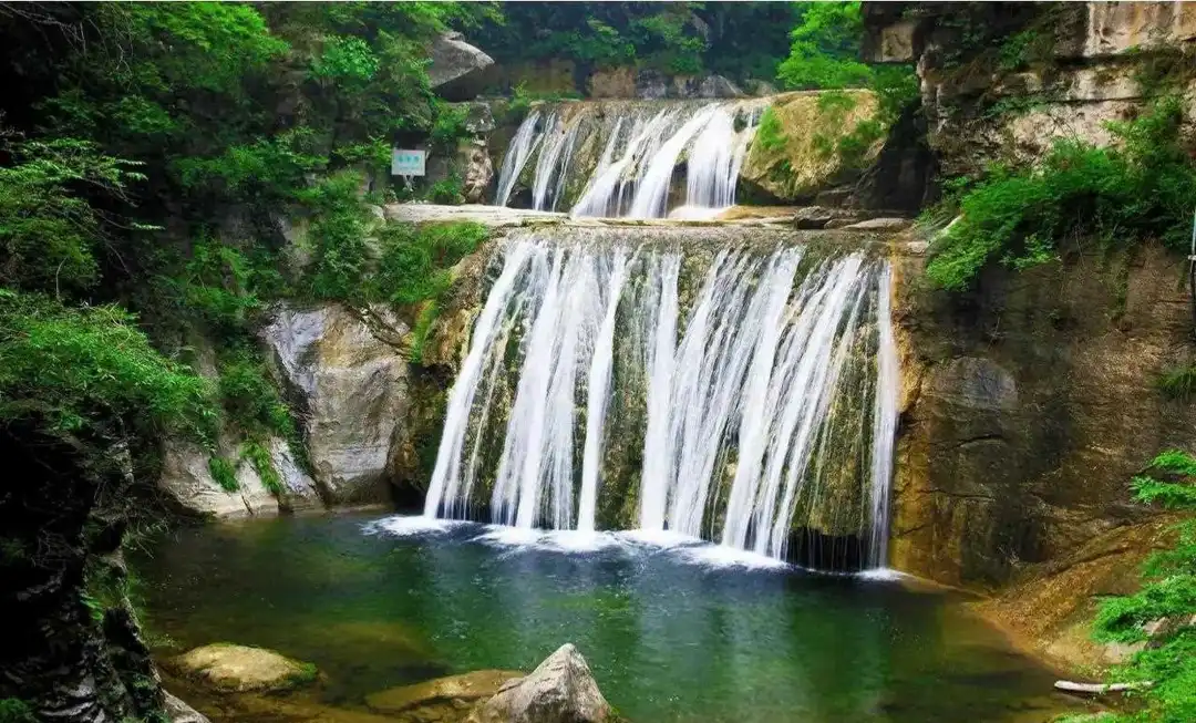 35157627402031f4f3f652662083ab51-sz_341084