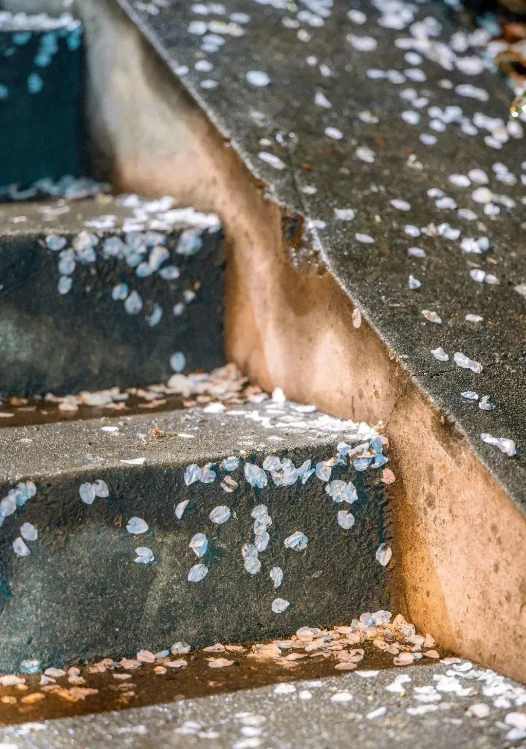 35304b4021250a5f66fa92bdd0f05385-sz_345549