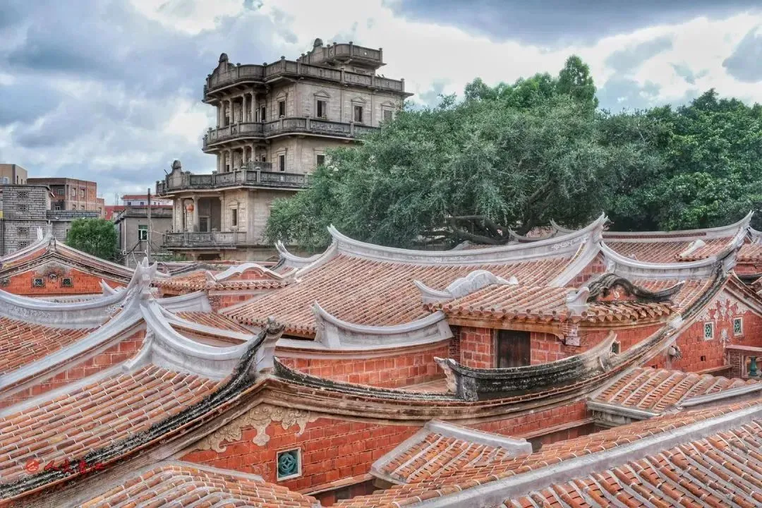 353de05114ecf6f1d78fdaf5a0787b07-sz_206296