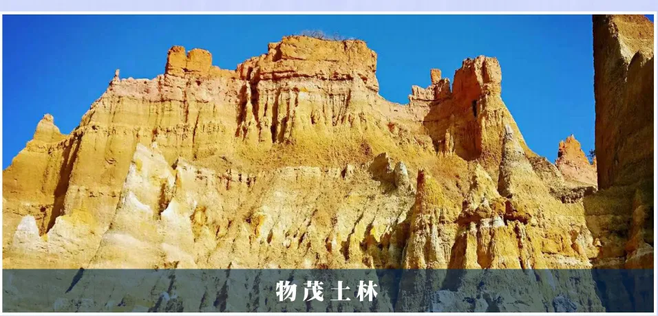 368419ed0e4740d6c71cd28281e64ed4-sz_1493787-2