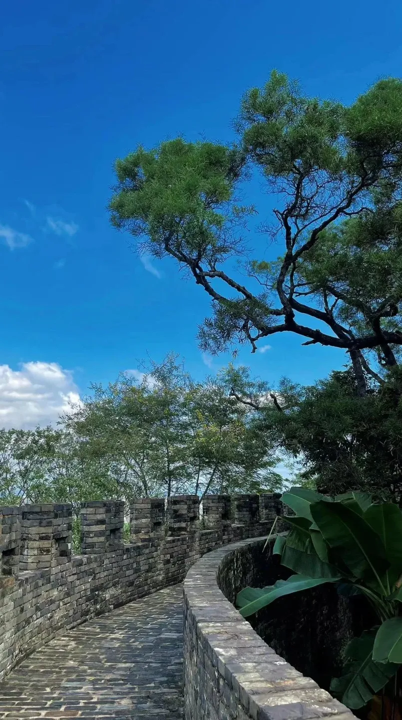 36881cce9f9f750882dc5f2c403b386d-sz_545230