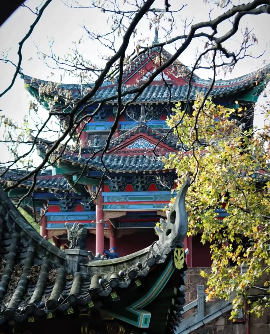 36d99152095f3a5ff665e830b9c794ef-sz_3214143