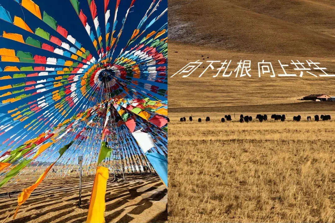 36e11cef83963b2e65b15cf96f4abe56-sz_2678119-2