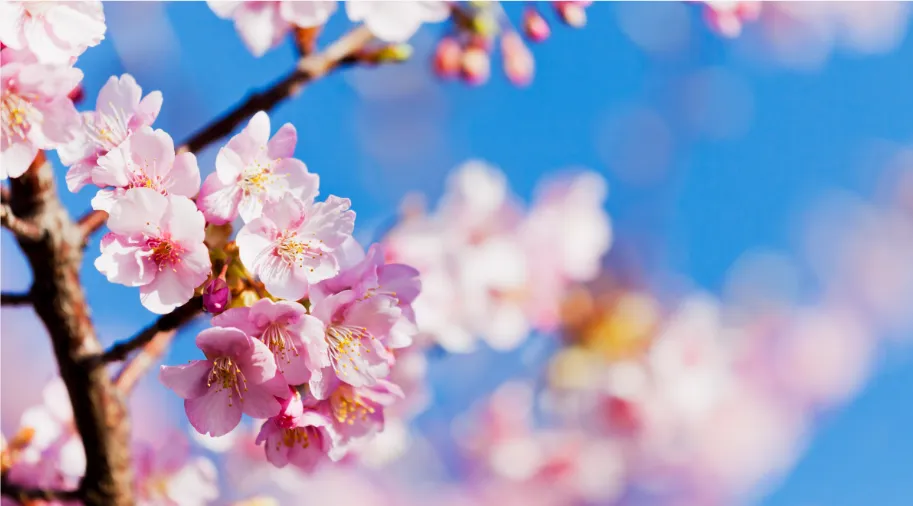 36efe27156ea993a7ce4dec94255e105-sz_634698