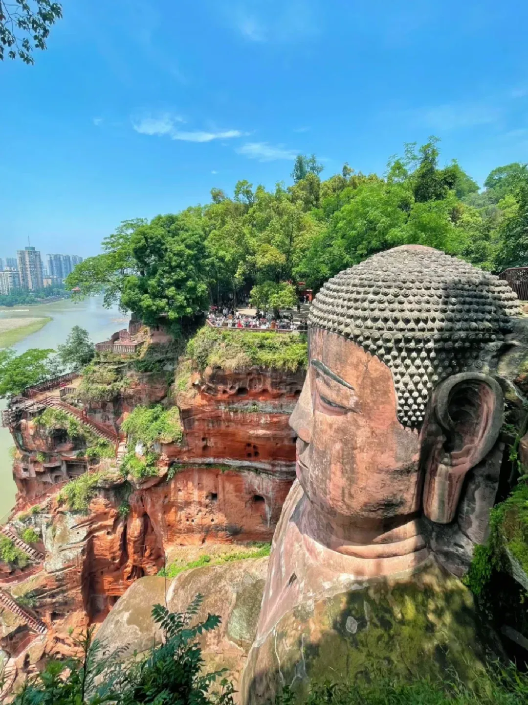 3784f5fa7a4f64c1b711a103149e6687-sz_3394696-5