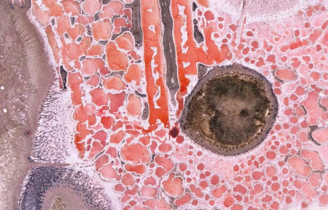 381bf5ec2804953cbdca51c45484c856-sz_299814