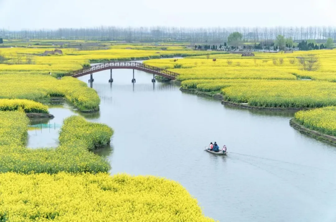 38567bcfa4020f99964692dd290715f8-sz_309844-2