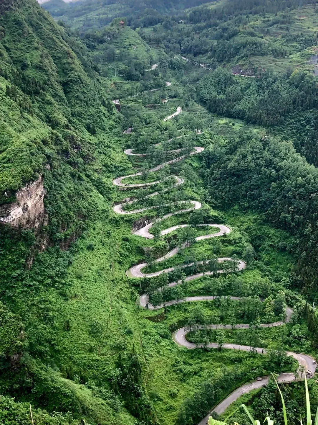 3876f43686b69fa6a55b5250501c00d0-sz_496224