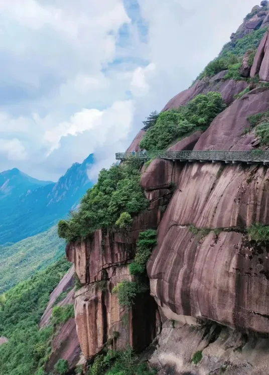 389f4a7c589994be68e241d3472a7e51-sz_922325