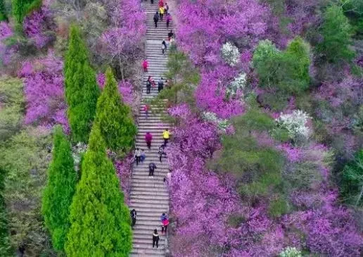 392cd7a879574f710fd5b62495439069-sz_56948