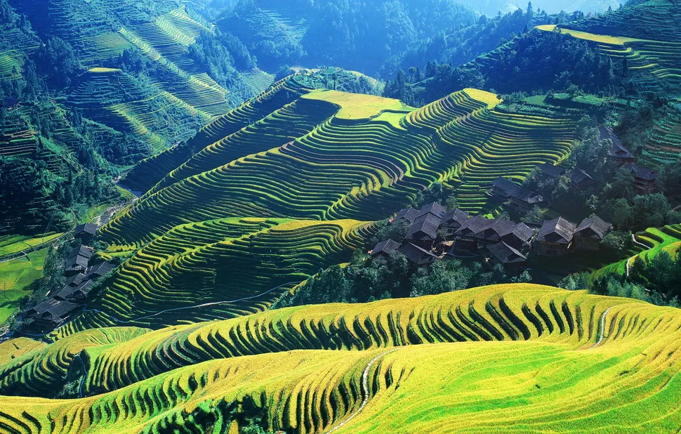 395aa270d304e5bd7ba7b042846066b3-sz_446732 395aa270d304e5bd7ba7b042846066b3-sz_446732