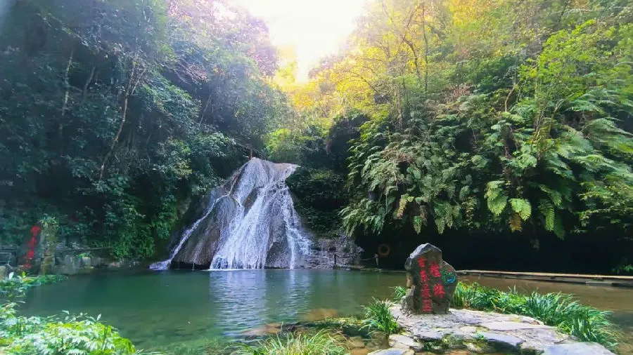 396bca5047dde5ce89bd1c109a81c50d-sz_139213