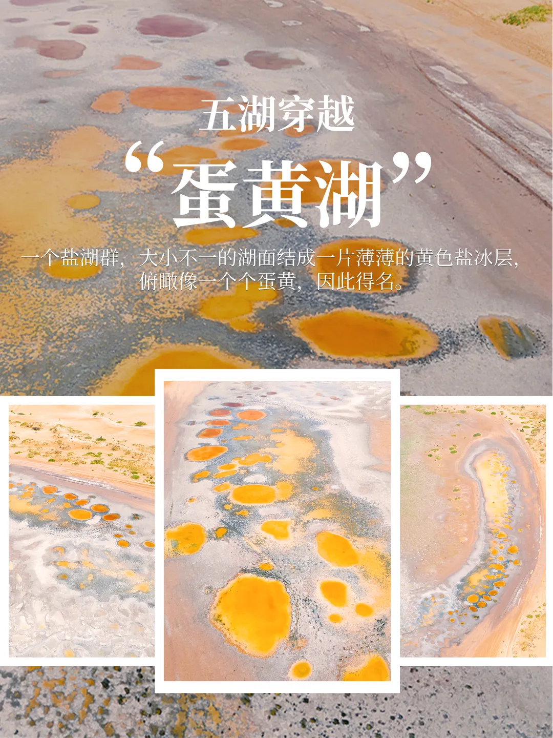 397168ece971c3d9f52e67979467c262-sz_7106863