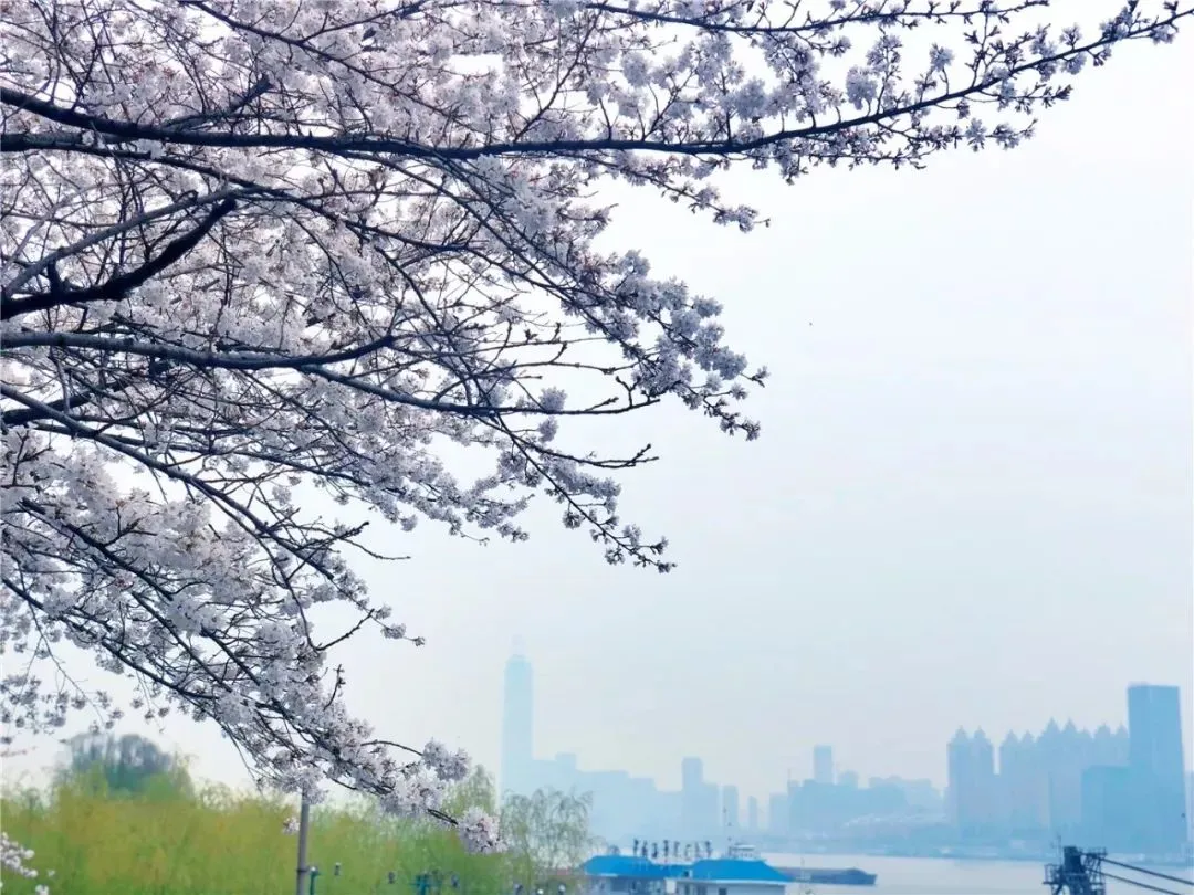 3a03751142d76db6899e439f8fef87ad-sz_176214