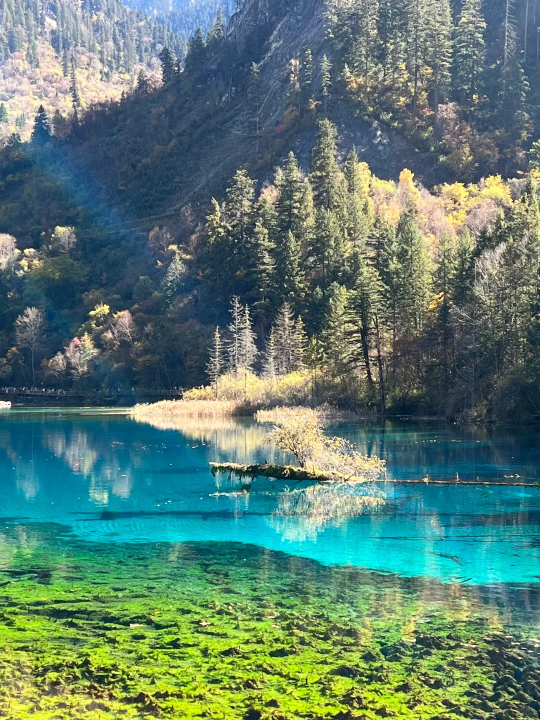 3a5e97d92d0fa82ff687bf1f24ca2328-sz_3437759