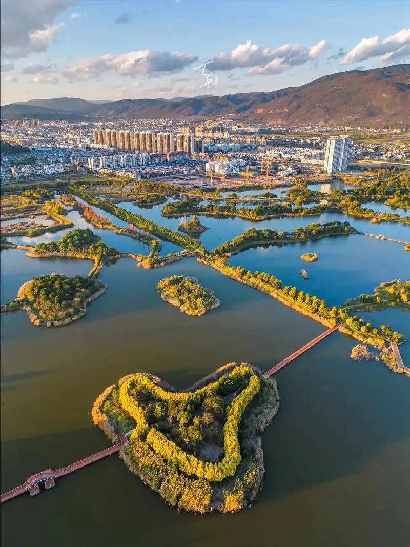 3aa6e0431fba78d4667ca2df616a4cec-sz_151463