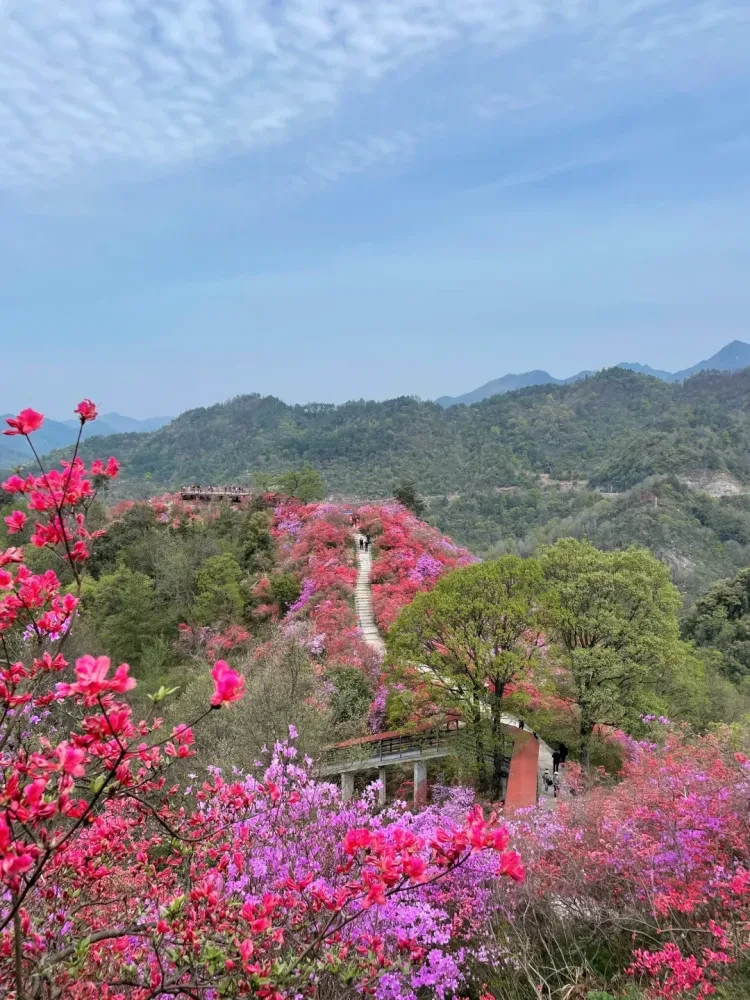 3b60995c57171861400f27902686b012-sz_2936386