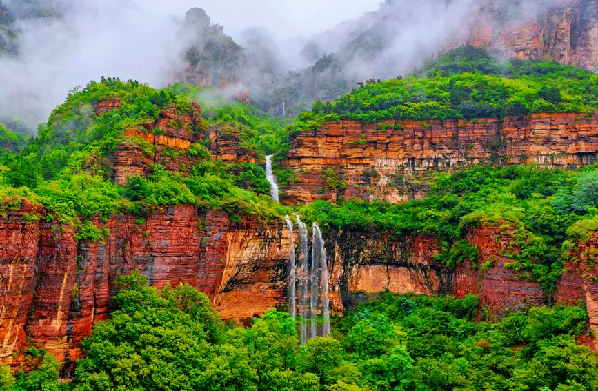 3b93077d63947540143c37f377351c7a-sz_481505-3