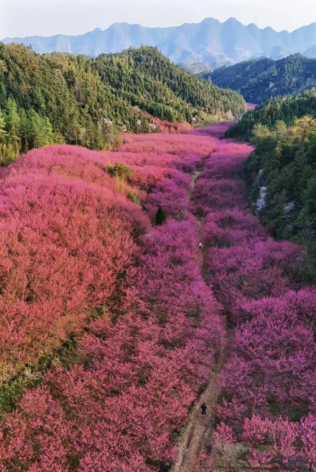 3ba9f23551ce1adcf9e76884f0435488-sz_536561-2