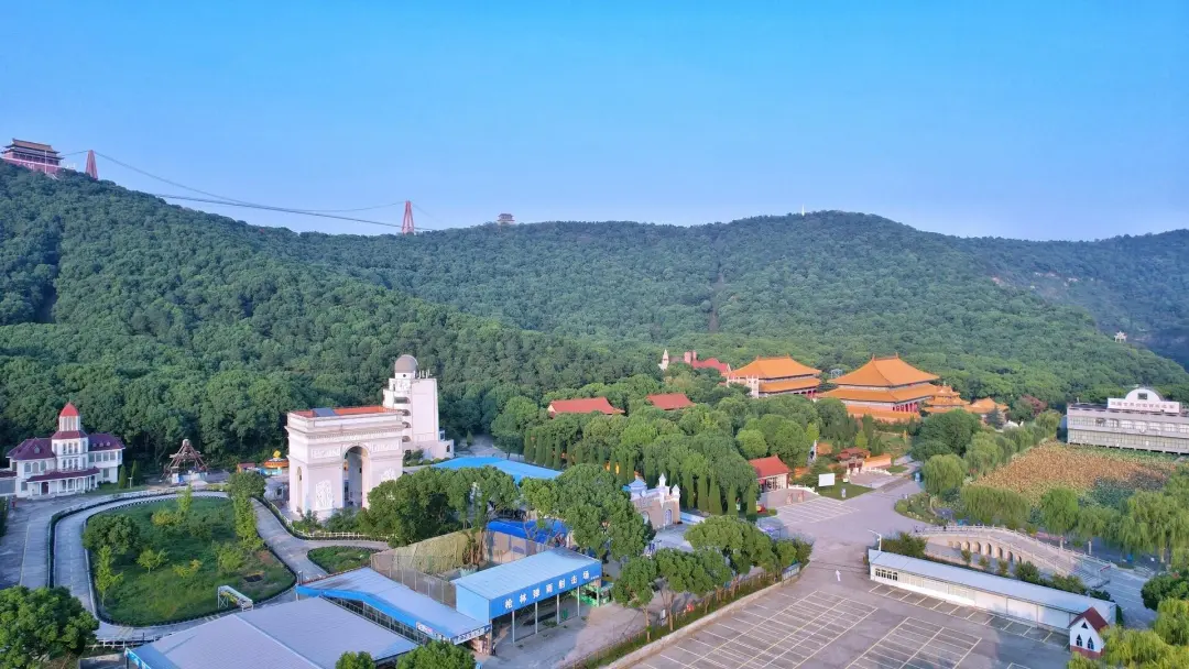 3bae3c987f5086d1fbc749131c2d35f2-sz_389846