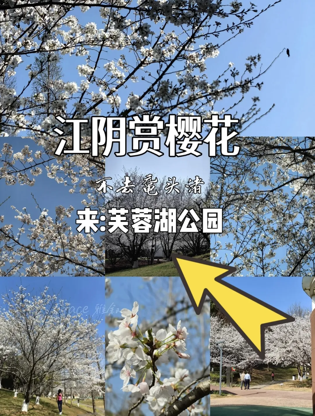 3bde5ab1e864313f86cfa9c9dbe10d9a-sz_989074